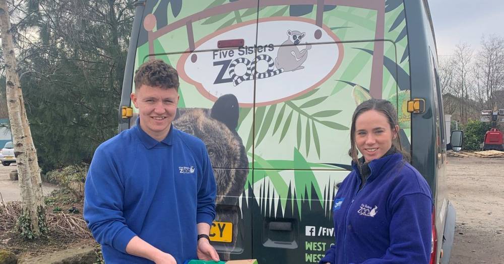 Popular West Lothian zoo appeals for donations to ensure it will reopen again after coronavirus crisis - www.dailyrecord.co.uk