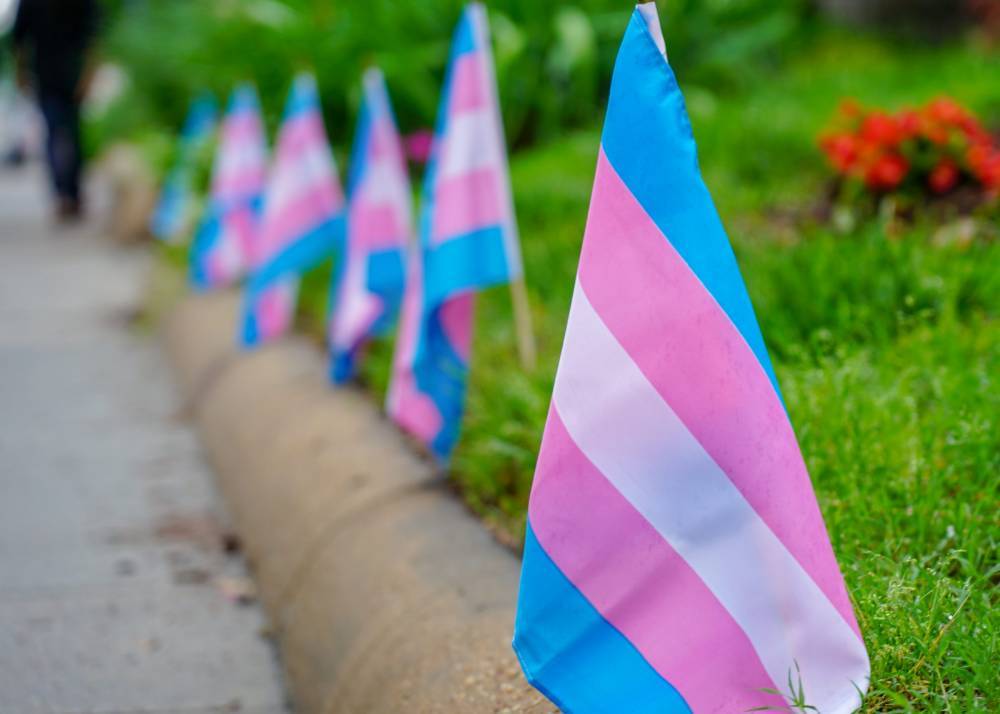 LGBTQ groups mark Transgender Day of Visibility through online campaigns - www.metroweekly.com