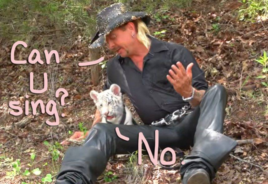 Tiger King Star Joe Exotic’s Music Career Was Fake! Find Out Who REALLY Did The Singing HERE! - perezhilton.com - Florida