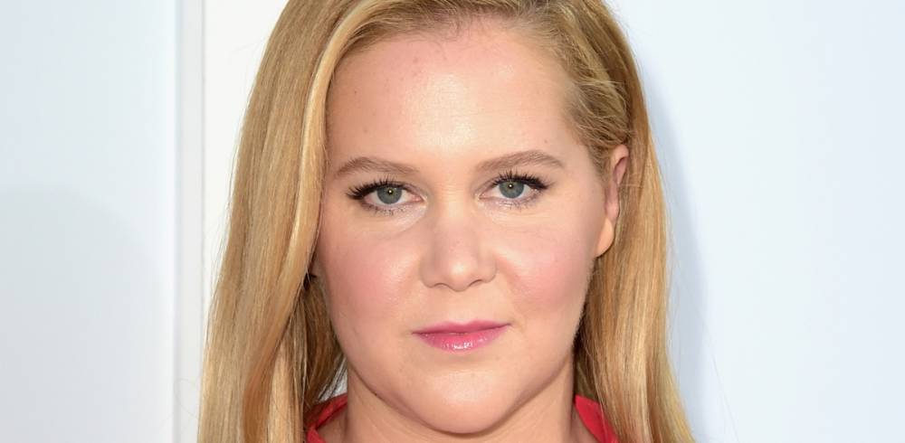 This Is How Amy Schumer & Her Son Visited Her Dad in Quarantine - www.justjared.com