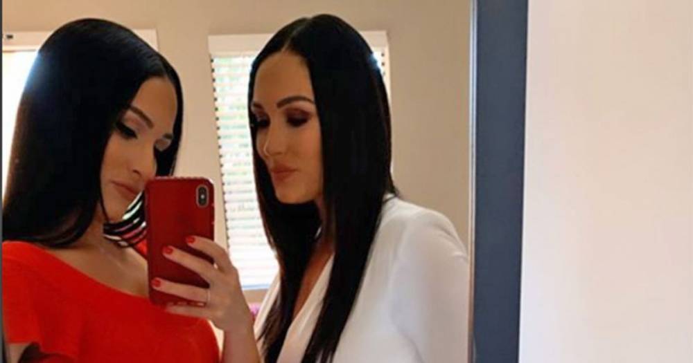 Nikki and Brie Bella Show Off Baby Bumps as They Talk About Being 'Terrified' of Coronavirus - flipboard.com