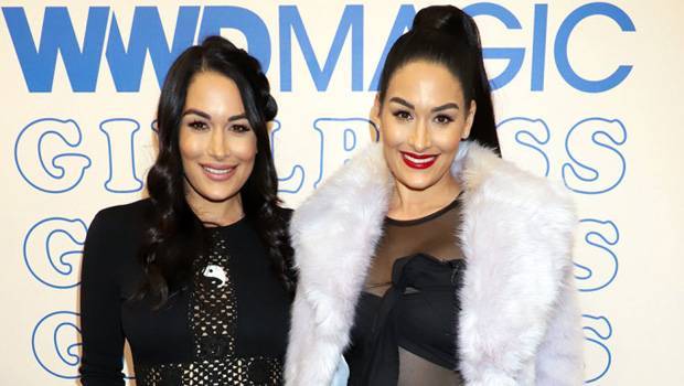 Nikki Brie Bella Show Off Their Growing Baby Bumps In Pregnant Sister Selfie - hollywoodlife.com