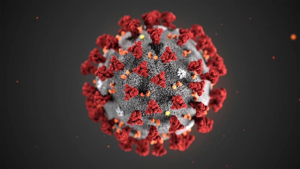 Coronavirus: First California Death Reported As U.S. Toll Grows To 11; Global Death Toll Nears 3,200 - deadline.com - California - Seattle - state Washington