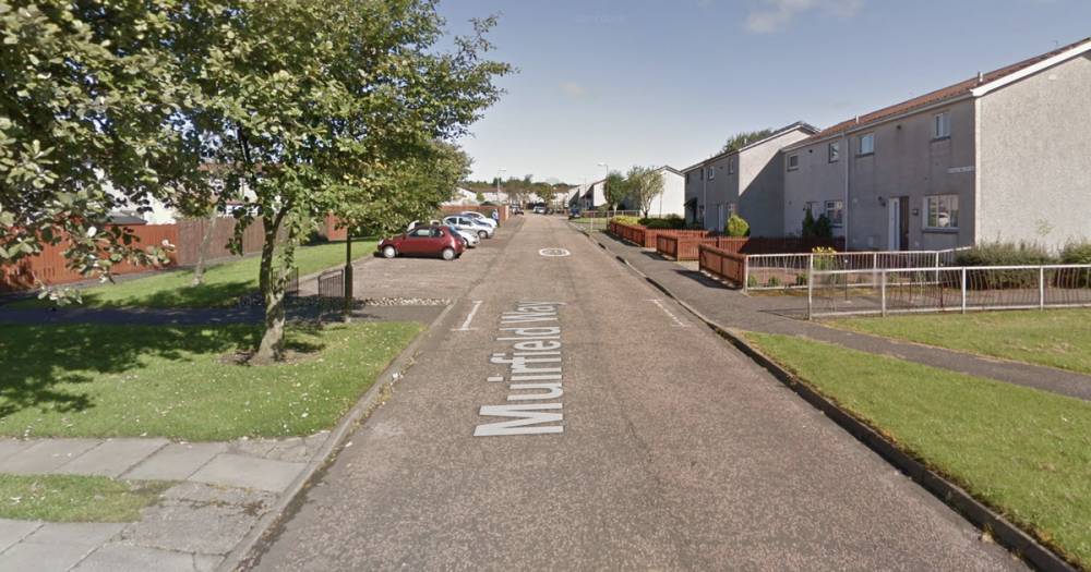 Arrest after armed police swoop on disturbance in Livingston - www.dailyrecord.co.uk - Scotland - county Livingston