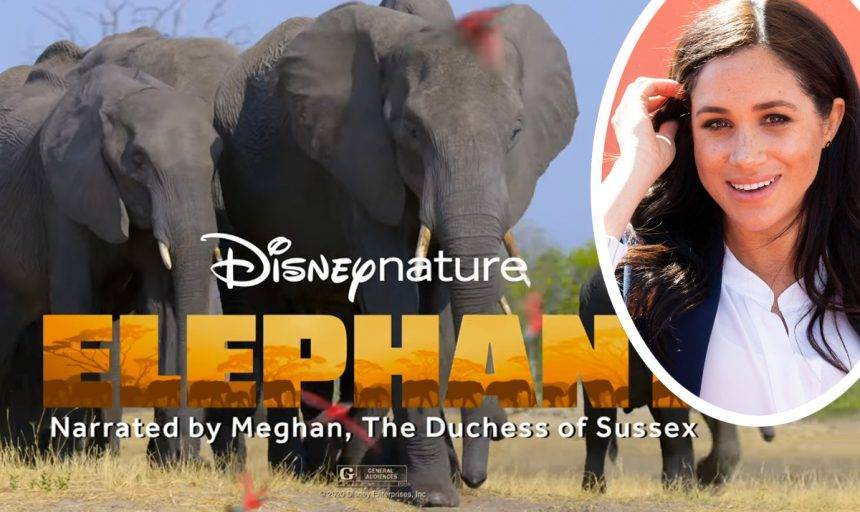 Meghan Markle’s Disney Narration — What The Critics Are Saying! - perezhilton.com