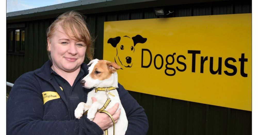 West Lothian Dog Trust thanks public - www.dailyrecord.co.uk - Britain
