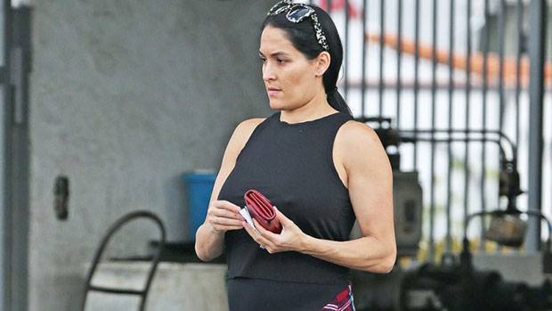 Nikki Bella Shows Off Her Bare Baby Bump While Dancing In Crop Top Skirt — Video - hollywoodlife.com