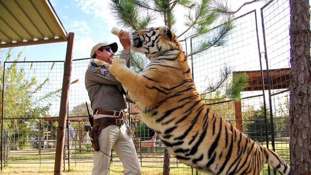 PETA Urges No Live Animals for 'Tiger King'-Inspired Series - www.hollywoodreporter.com