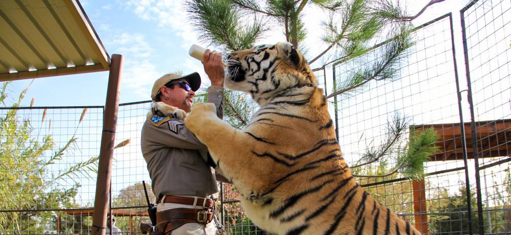‘Tiger King’ Gets Eighth Installment: After Show Hosted By Joel McHale On Netflix - deadline.com