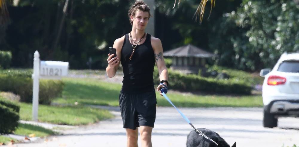 Shawn Mendes Takes Camila Cabello's Dog Thunder for a Walk - www.justjared.com - Miami - Florida