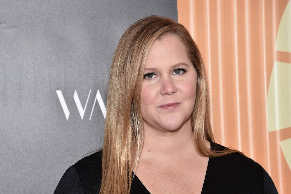 ‘Amy Schumer Learns to Cook’ leads desperate list of shows we don’t need right now - nypost.com - USA