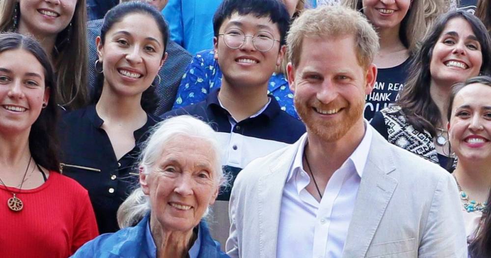 Prince Harry Hinted at Royal Exit to Jane Goodall When She Met Archie 8 Months Earlier - www.usmagazine.com - Britain - county Windsor