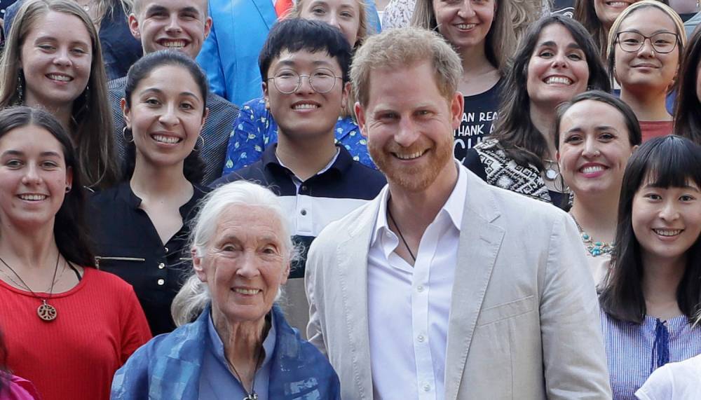 Jane Goodall Says Prince Harry Hinted at Royal Exit 8 Months Beforehand - www.justjared.com - county Windsor