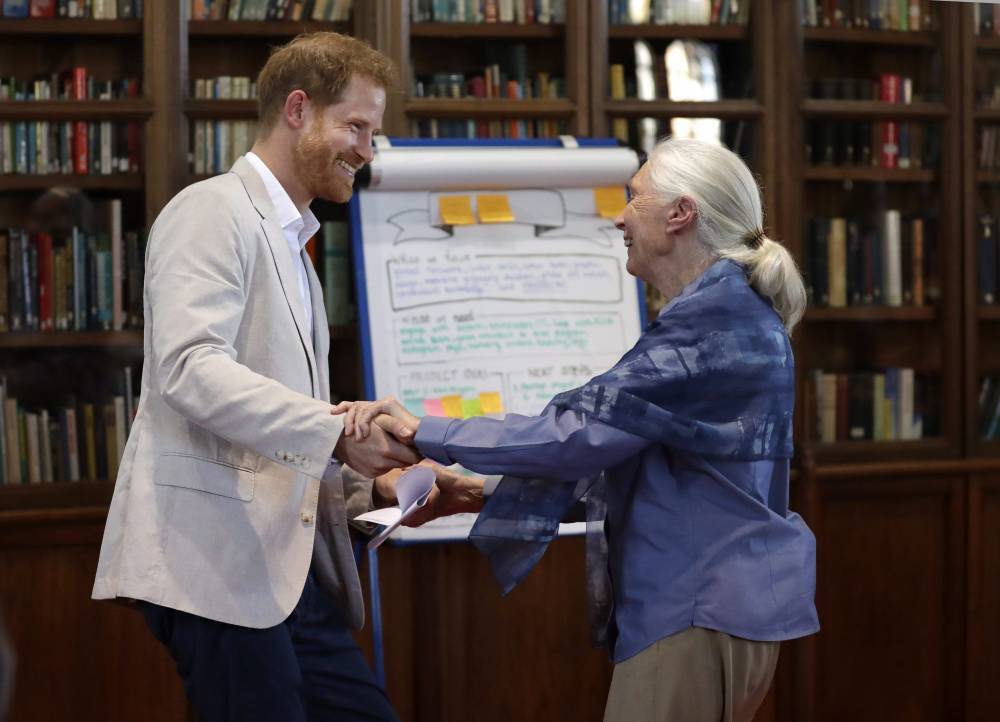 Jane Goodall Says Prince Harry Hinted At Royal Exit The Summer Before It Happened - etcanada.com
