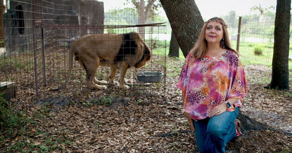 Tiger King’s Carole Baskin Says She’s Getting Death Threats, Slams Filmmakers - www.usmagazine.com - county Bay