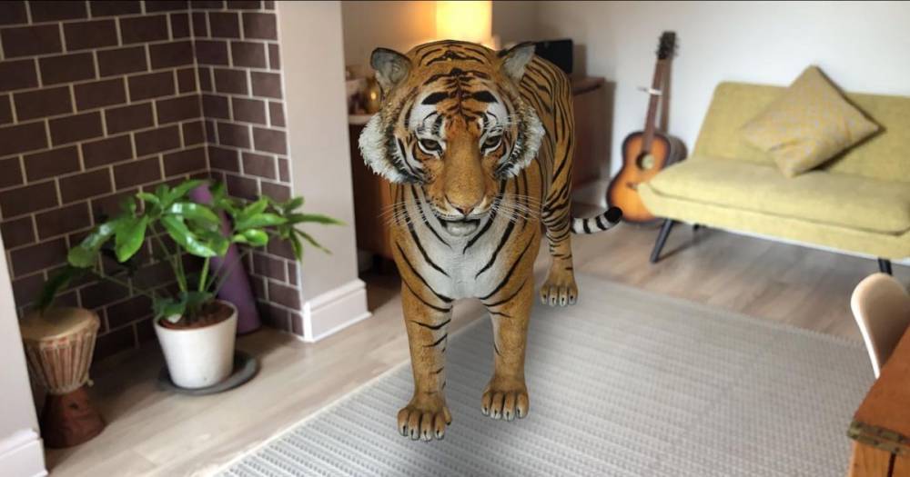 How to turn your house into a virtual zoo with Google's 3D animals - www.manchestereveningnews.co.uk