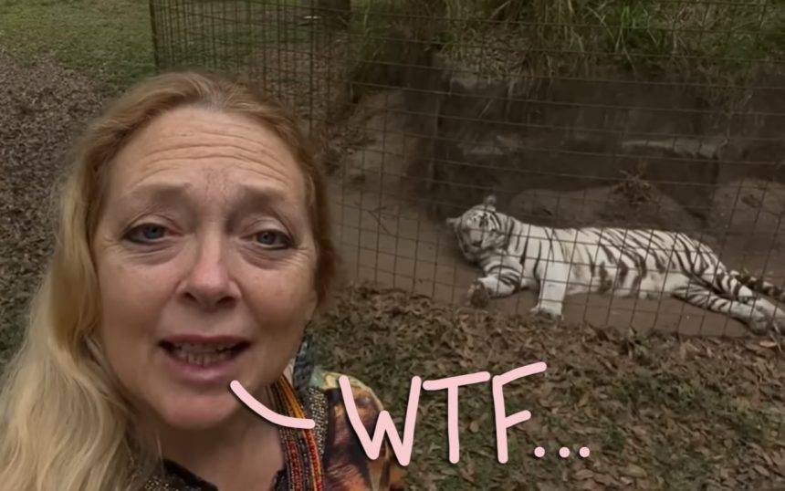 Tiger King‘s Carole Baskin Is ‘Wary Of Leaving The House’ After Receiving So Many Death Threats - perezhilton.com - county Bay
