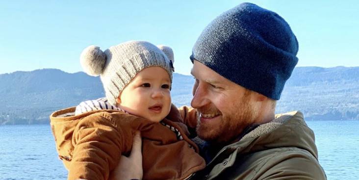 Prince Harry Didn't Want His Son to Grow Up in the Royal Spotlight, According to Dr. Jane Goodall - www.harpersbazaar.com
