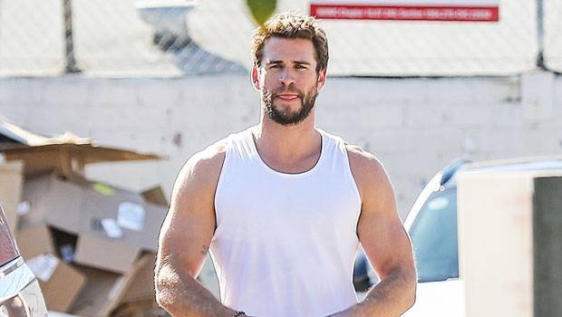 Liam Hemsworth Reveals How His ‘Super Healthy’ Vegan Diet Was A Factor In His Kidney Stone Hospitalization - hollywoodlife.com