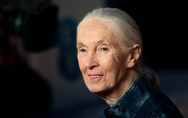 Dr Jane Goodall suggests Harry could give up hunting because of Meghan - www.breakingnews.ie
