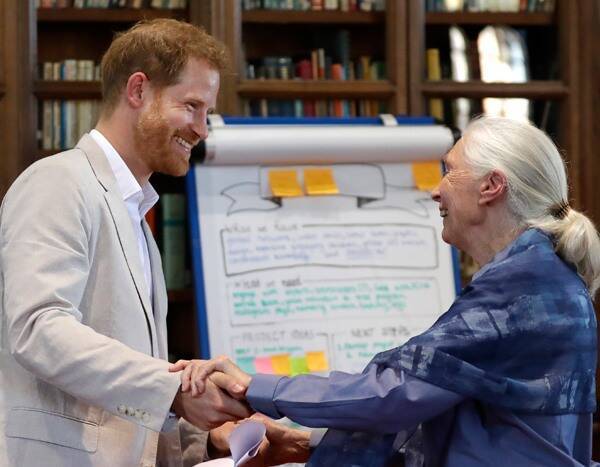 Meghan Markle - Archie Harrison - Jane Goodall - Royal Exit - Harry Is - Prince Harry Is "Finding Life a Bit Challenging" After Royal Exit, Says Friend Jane Goodall - eonline.com - London