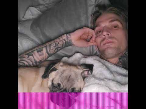 Want To See Aaron Carter Naked? - perezhilton.com