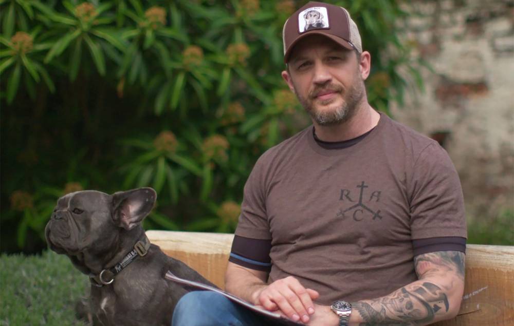 Tom Hardy returning to narrate CBeebies Bedtime Stories for a whole week - www.nme.com