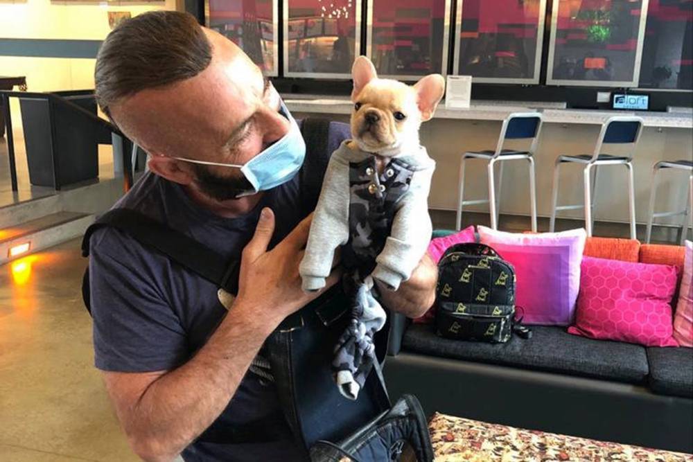 Cloned French bulldog helps Britney Spears’ hairdresser survive quarantine - nypost.com - France