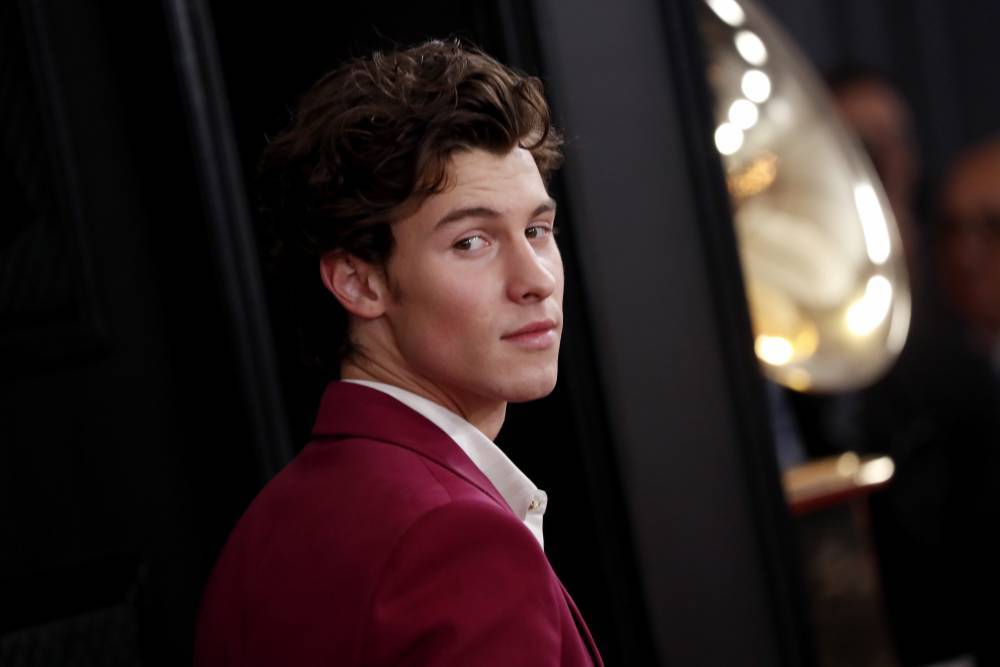 Shawn Mendes Gives Important Advice On How To Take Care Of Your Mental Health During Coronavirus Pandemic - etcanada.com