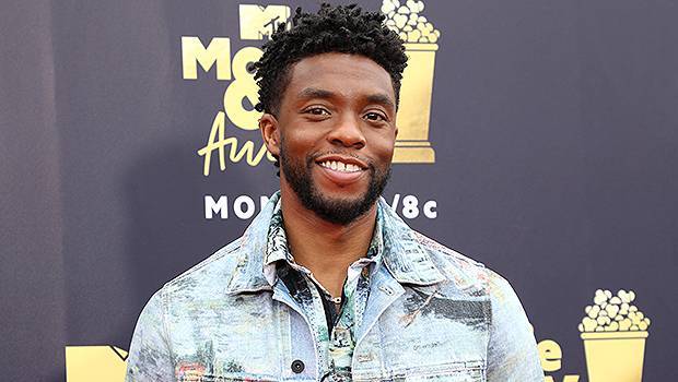 ‘Black Panther’s Chadwick Boseman Appears Super Thin In New Video Fans Fear For Him - hollywoodlife.com - South Carolina