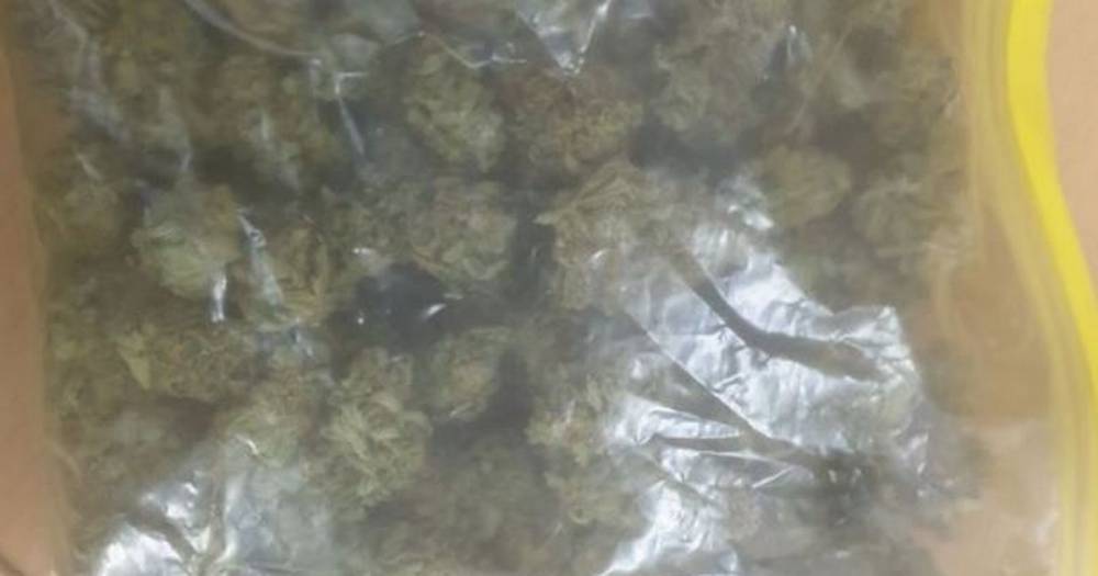 Police find a driver and stash of cannabis hiding behind car - www.manchestereveningnews.co.uk - Manchester - city Burlington