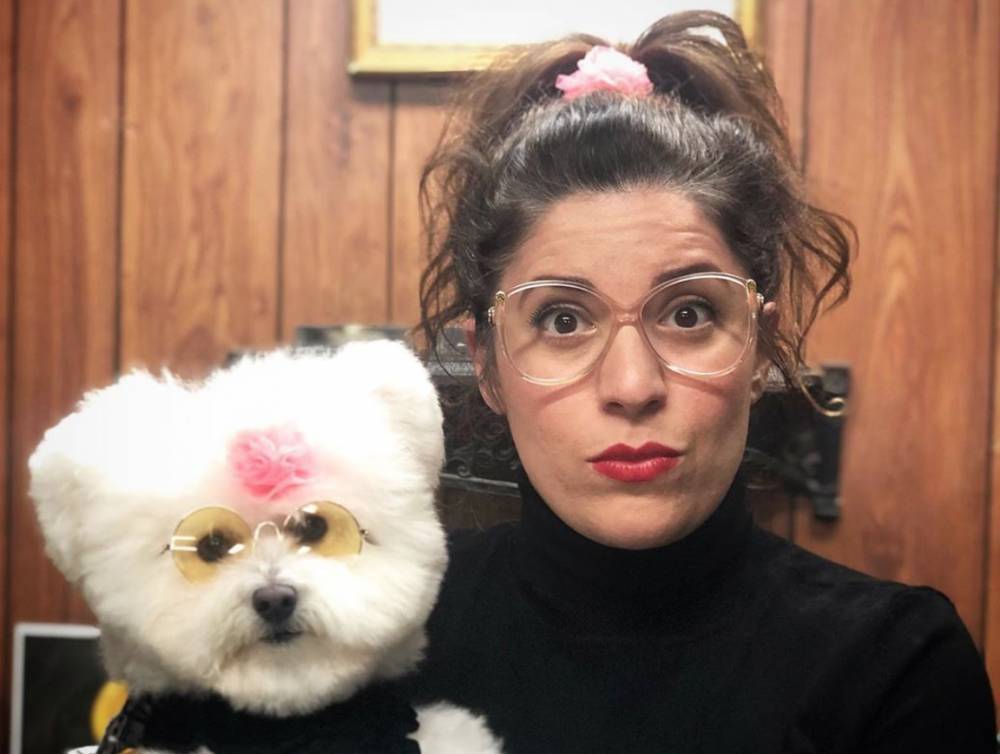 Dog Grooming Competition Show ‘Hot Dog’ Ordered at HBO Max - variety.com