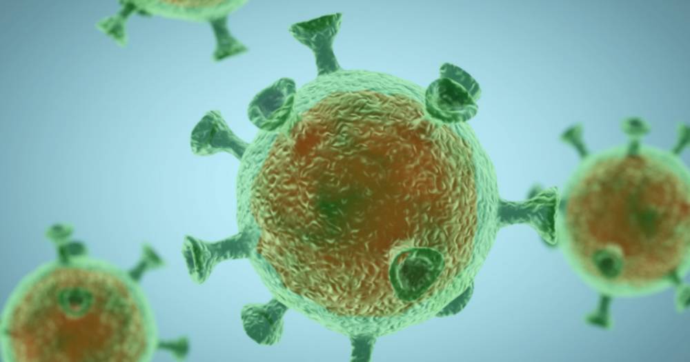 No evidence to prove coronavirus survivors are immune to bug, say World Health Organisation - www.dailyrecord.co.uk - Britain