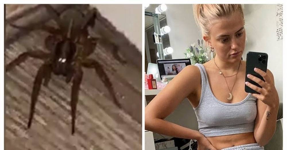 Lucy Fallon's horror as huge 'tarantula' moves in with her during lockdown - www.manchestereveningnews.co.uk
