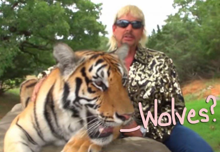 Forget Tiger King, Joe Exotic Nearly Became Wolf King Before A Contentious Legal Battle Stopped Him! - perezhilton.com - Oklahoma