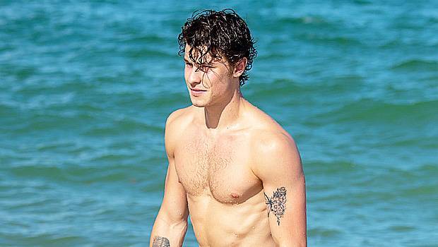 Shawn Mendes’ Trainer Alec Penix Reveals Perfect HIIT Workout You Can Even Do In A Tiny Apt - hollywoodlife.com