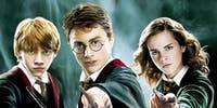 You can now be paid $1000 to watch every Harry Potter movie - www.lifestyle.com.au