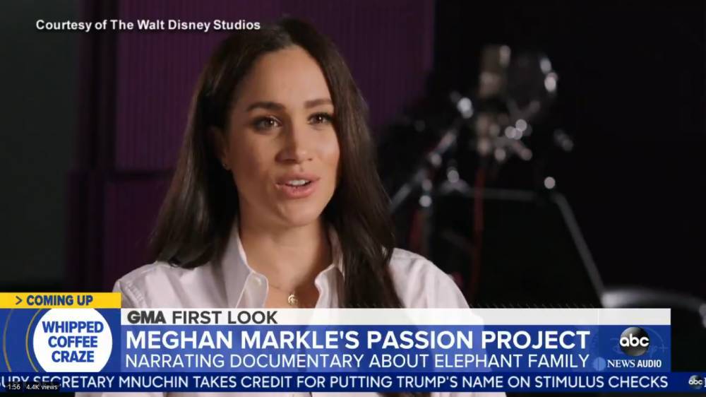 Meghan Markle Makes First TV Appearance Since Royal Exit, Discusses Disney+ Film ‘Elephant’ - etcanada.com