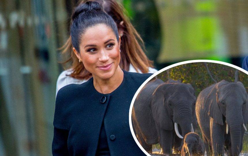 Meghan Markle Speaks Out About Her First Post-Royal Gig With Disney - perezhilton.com - Britain