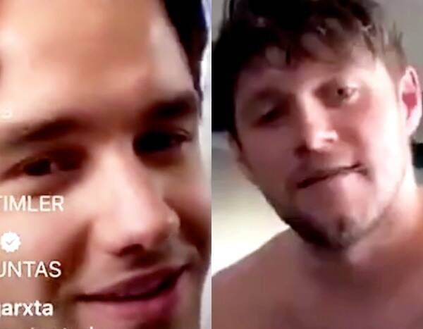Watch One Direction's Niall Horan and Liam Payne Troll Louis Tomlinson During Virtual Reunion - www.eonline.com