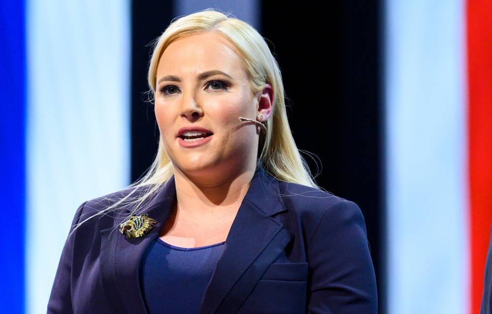 Meghan McCain Sympathizes With Lockdown Protesters: ‘When People Are Scared And In Pain, They Start To Panic’ - etcanada.com - New Jersey