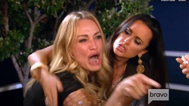 ‘RHOBH’s Kyle Richards Taylor Armstrong Reveal How They Really Feel About Their Famous Cat Meme - hollywoodlife.com