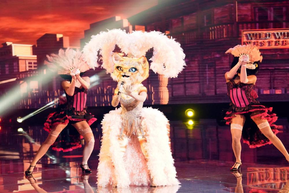 The Masked Singer Season 3: Why We're Sure Kitty Is This Former Reality Competition Contestant - www.tvguide.com