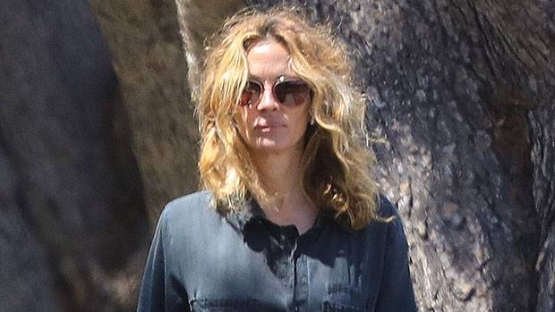 Julia Roberts, 52, Lets Her Natural Hair Blow In The Wind While Walking Her Dogs — Pic - hollywoodlife.com - Malibu