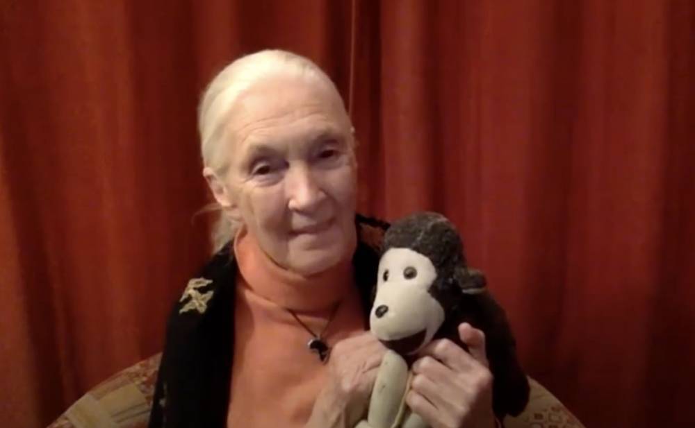 Dr. Jane Goodall Says Humans’ Disrespect For Nature Led To Pandemic - etcanada.com