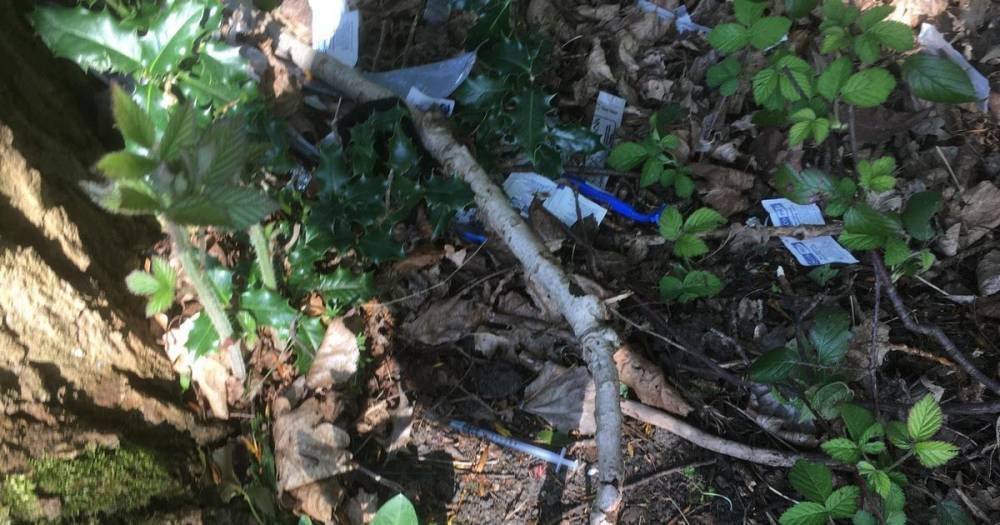 Families complain of drug use and discarded syringes near hotel used to house homeless people during coronavirus pandemic - www.manchestereveningnews.co.uk - Manchester - city Salem