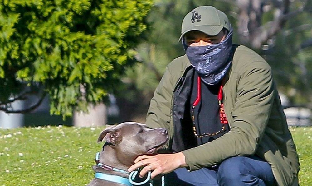 Henry Golding Takes His Foster Dog for a Walk After Incident at Dog Park - www.justjared.com - Santa Monica