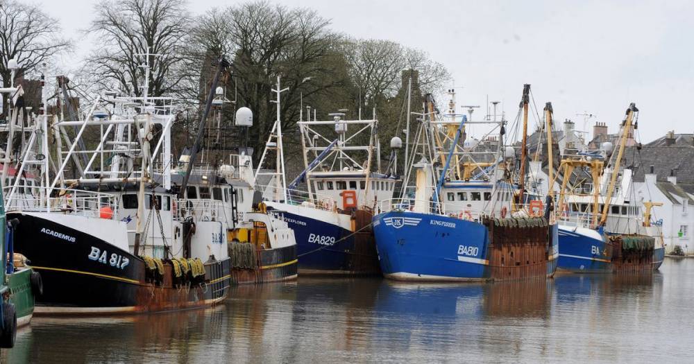 Kirkcudbright scallop boat skipper speaks of relief as Scottish Government extends coronavirus aid package - www.dailyrecord.co.uk - Scotland