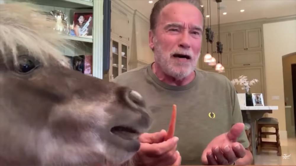 Arnold Schwarzenegger’s Adorable Pet Horse And Donkey Crash Jimmy Kimmel Interview - etcanada.com