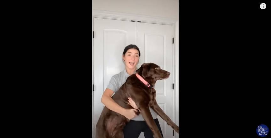 Charli D’Amelio And Jimmy Fallon Dance With Their Dogs For Pet Duet TikTok - etcanada.com